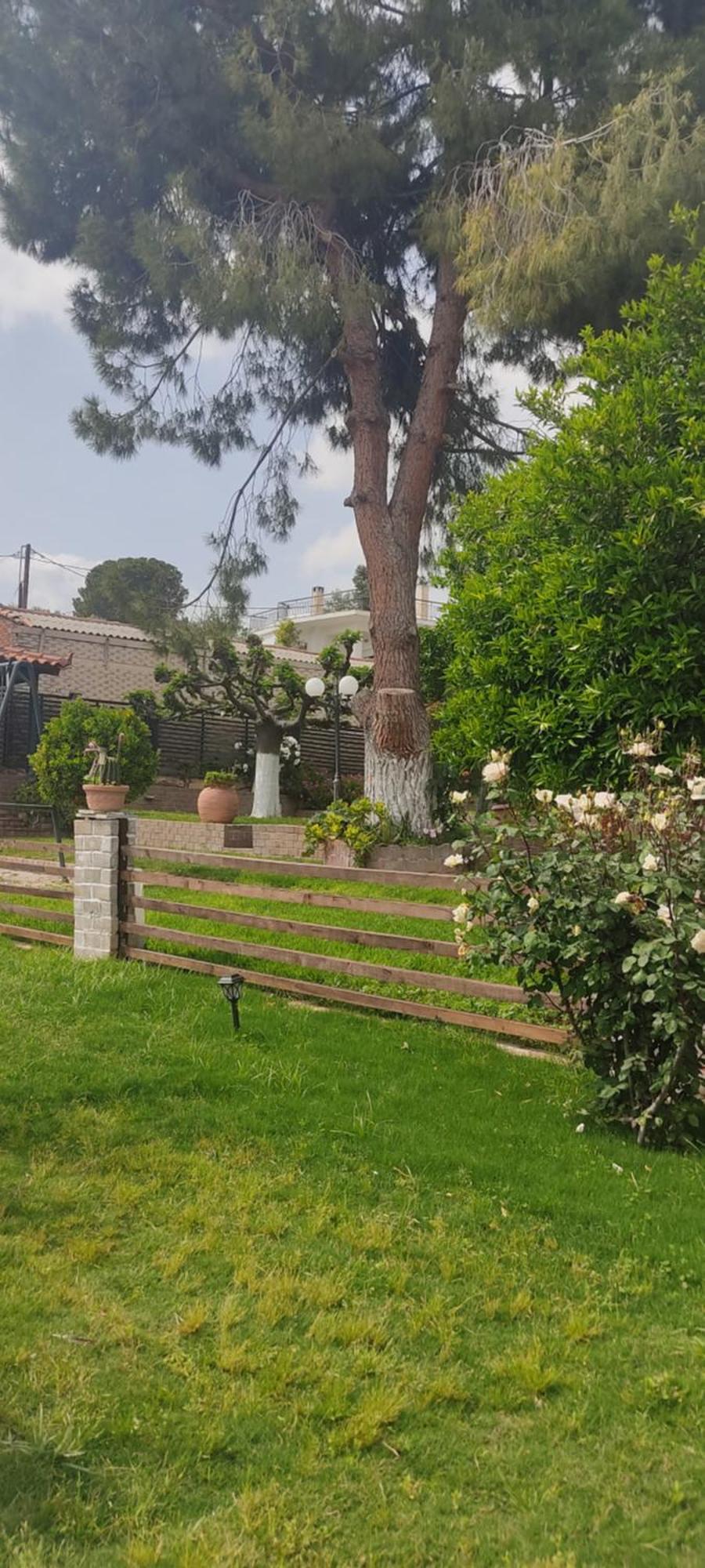 Alice House 1 Daire Amarynthos Dış mekan fotoğraf